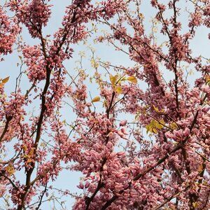 Meet your Posher, Florid